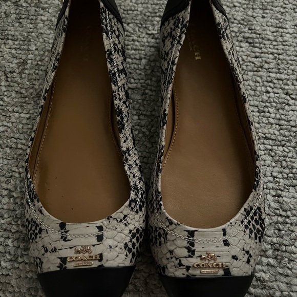 Coach Chelsea snakeprint flat - Picture 4 of 4